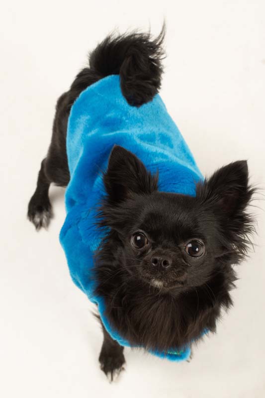 TURQUOISE BLUE fur dress